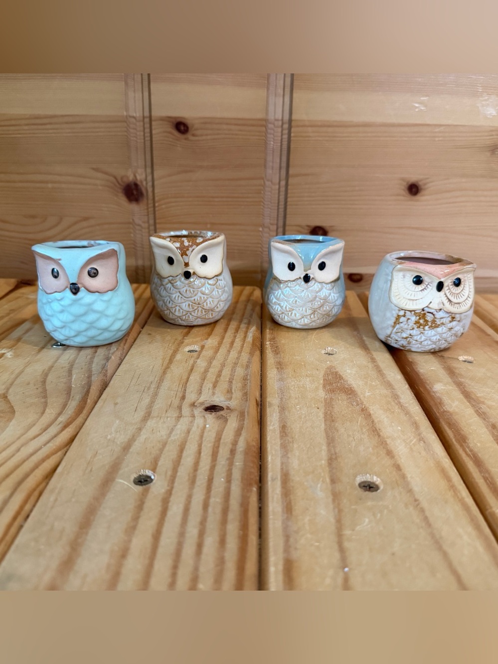 Ceramic Owl Teal Blue & White Succulent Planter Set of 4